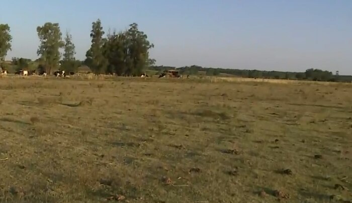 Reservas de agua dulce en Uruguay disminuyen y el país enfrenta un futuro climático incierto