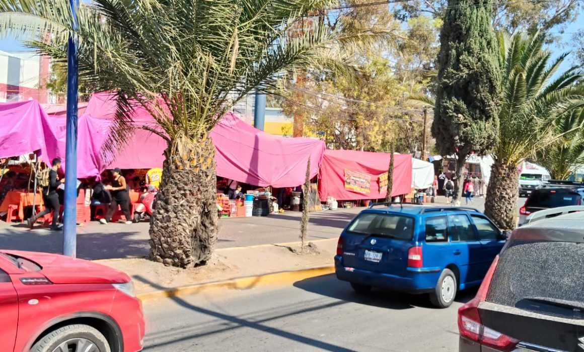 ¿Sabes qué tan peligroso es comer en los tianguis improvisados de Huehuetoca? La verdad te impactará