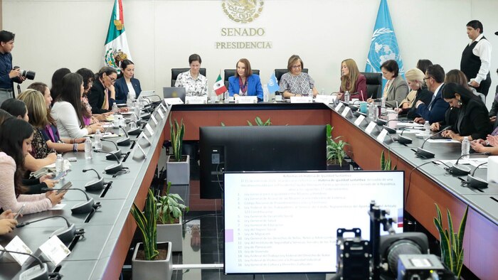 Senadoras mexicanas analizan avances y desafíos en la lucha contra la violencia de género con relatora de la ONU