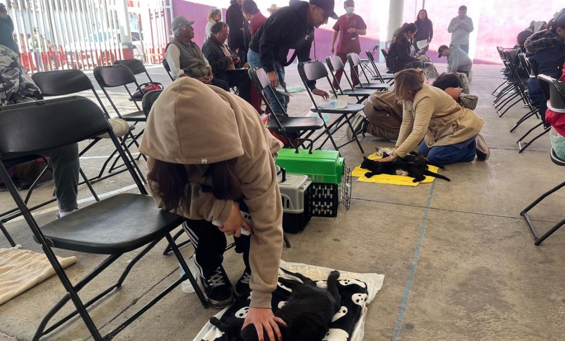 Tecámac inicia campaña gratuita de esterilización de mascotas en febrero de 2026