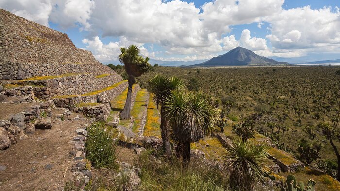 Temperatura promedio en Puebla de Zaragoza y pronóstico del clima para este domingo