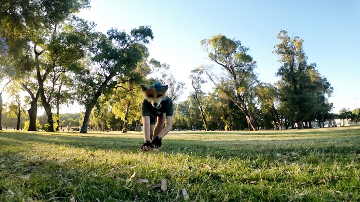 Therians: qué hay detrás de la autopercepción animal, cómo acompañar sin prejuicios y detectar conductas de riesgo