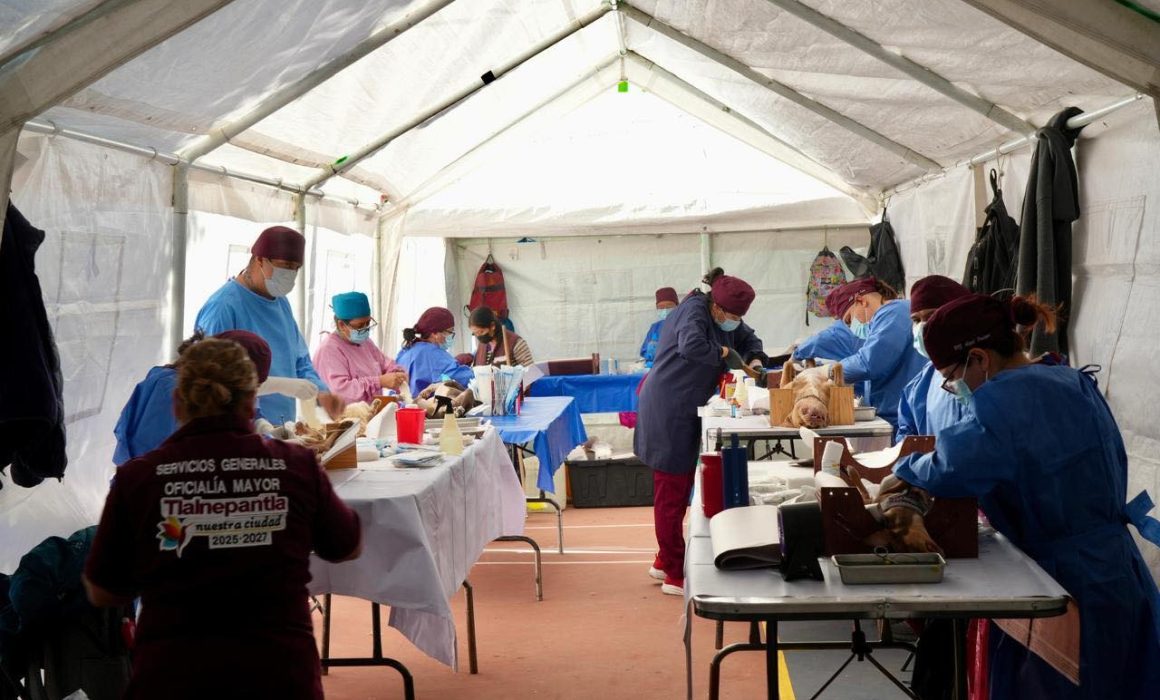 Tlalnepantla refuerza servicios públicos en Lázaro Cárdenas con jornadas integrales