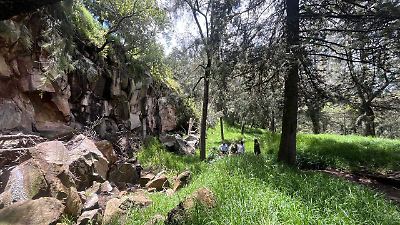 Vecinos de Toluca impulsan proyecto ecoturístico para rescatar el parque El Calvario