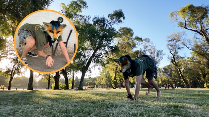 Viralidad de los ‘therian’: identidad, redes sociales y debates en la juventud mexicana